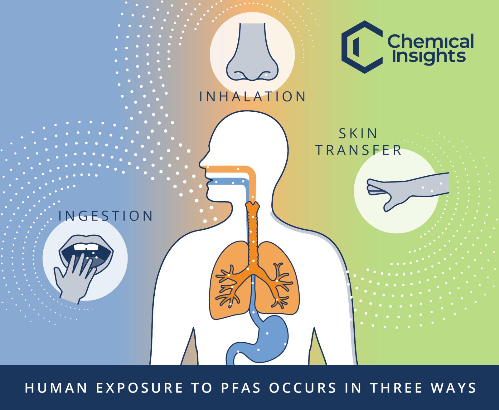 Human Health Impact of PFAS Chemical Exposure