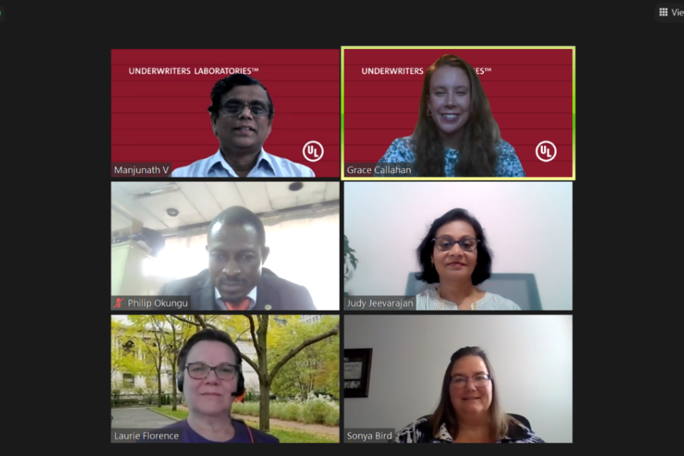 Participants in a virtual meeting