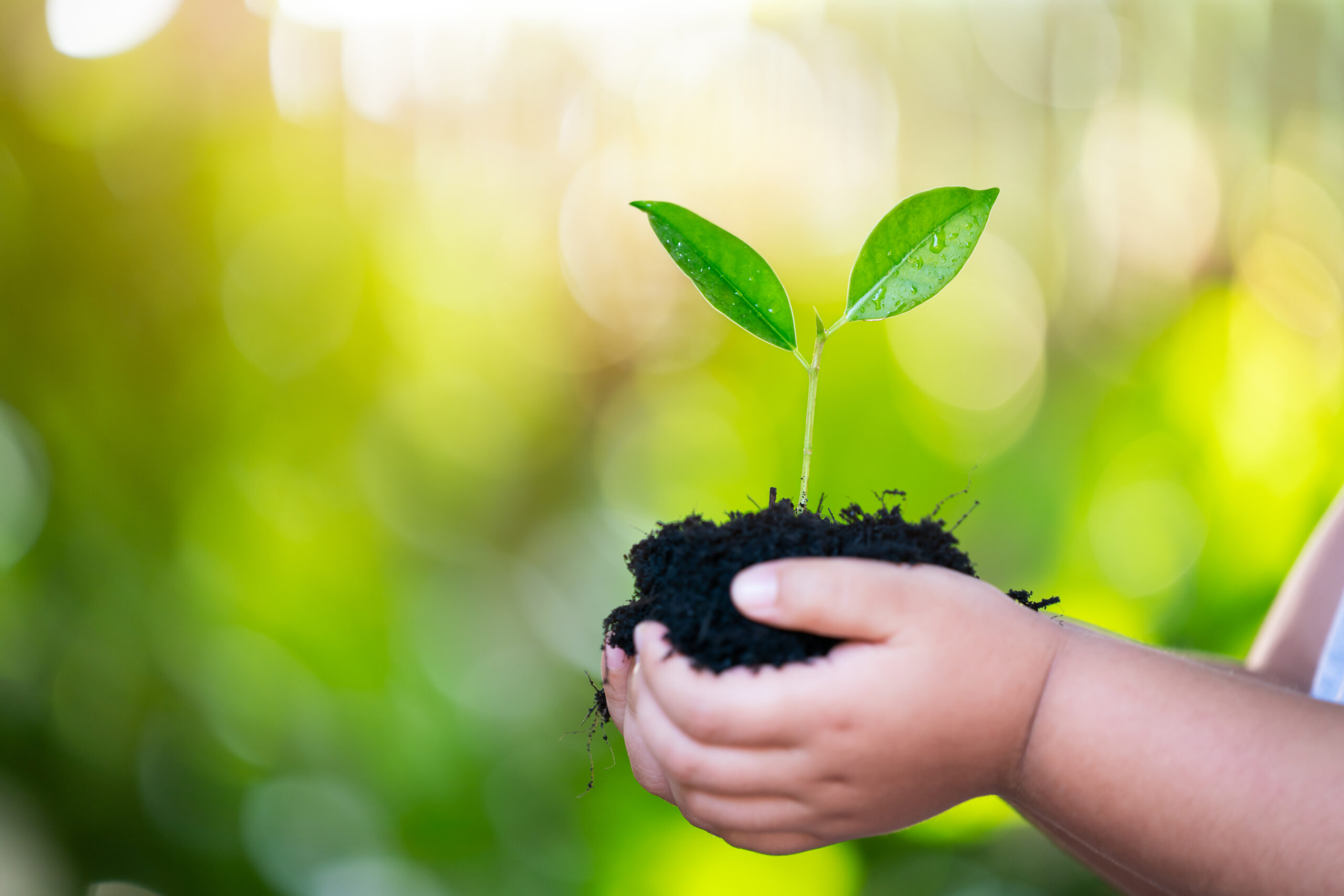 0525 community sustainability grants scaled