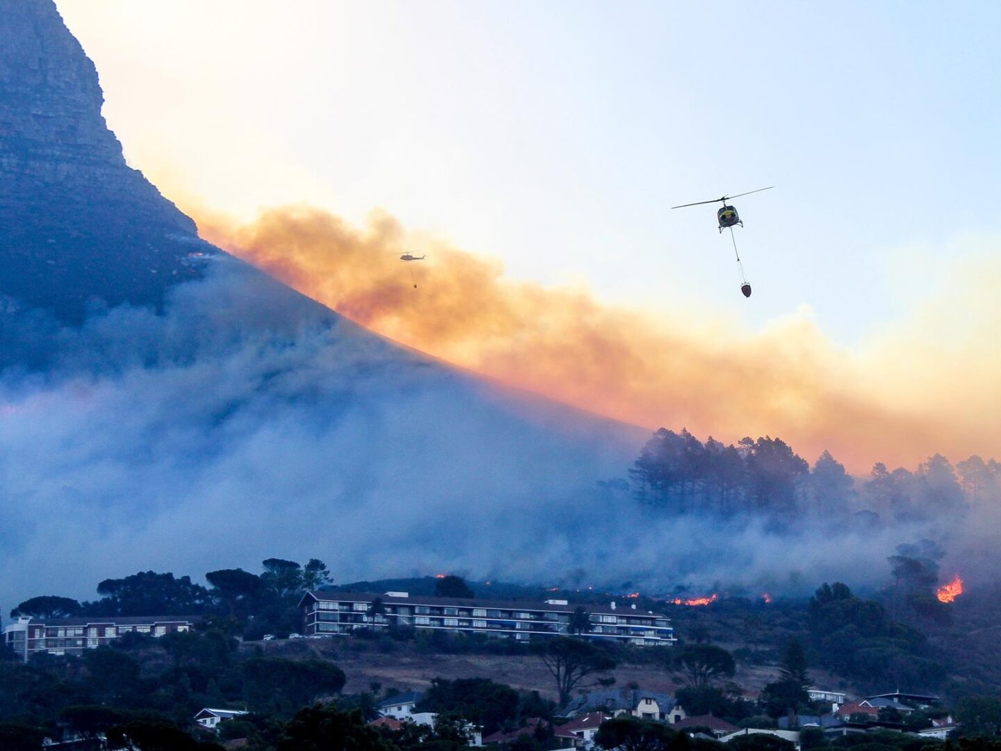 Wildland urban interface (WUI) fires are complex fires that require both wildland and structural firefighting resources.