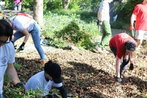 UL enterprise employees help restore a garden at the Wildlife and Rain Garden in Georgia.